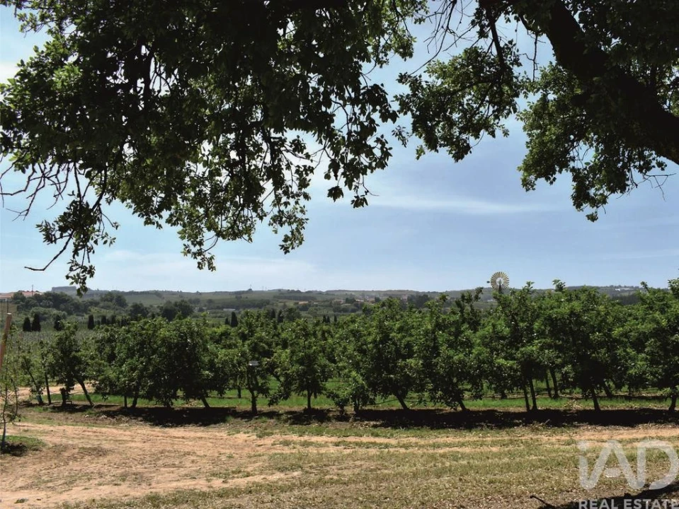 Moradia T3 para Venda em Bombarral e Vale Covo Foto 25