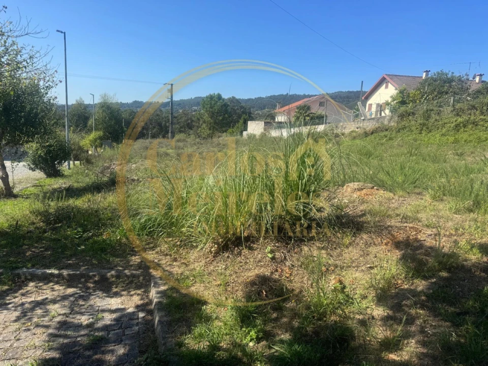 Terreno para Venda em Vila Verde e Barbudo Foto 3
