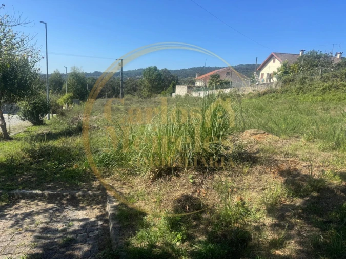 Terreno para Venda em Vila Verde e Barbudo Foto 3