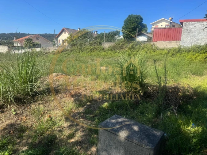 Terreno para Venda em Vila Verde e Barbudo Foto 4