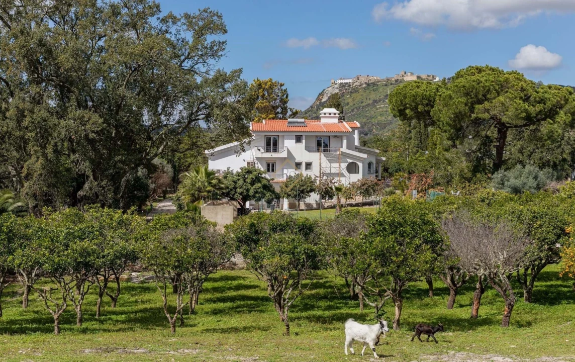 Moradia T8 para Venda em Palmela Foto 1