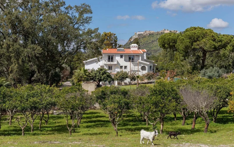 Moradia T8 para Venda em Palmela Foto 1