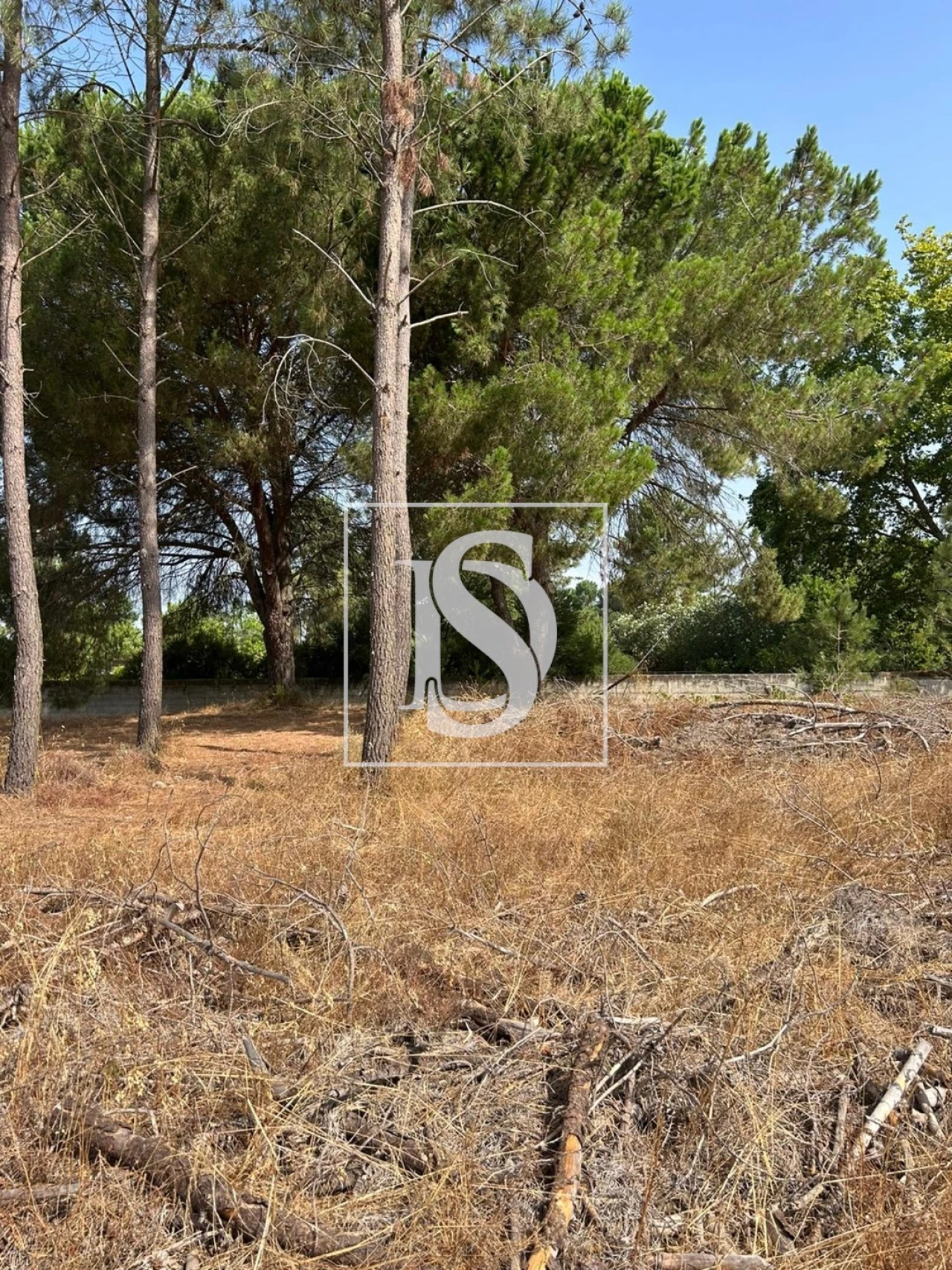 Terreno para Venda em Salvaterra de Magos e Foros de Salvaterra Foto 14