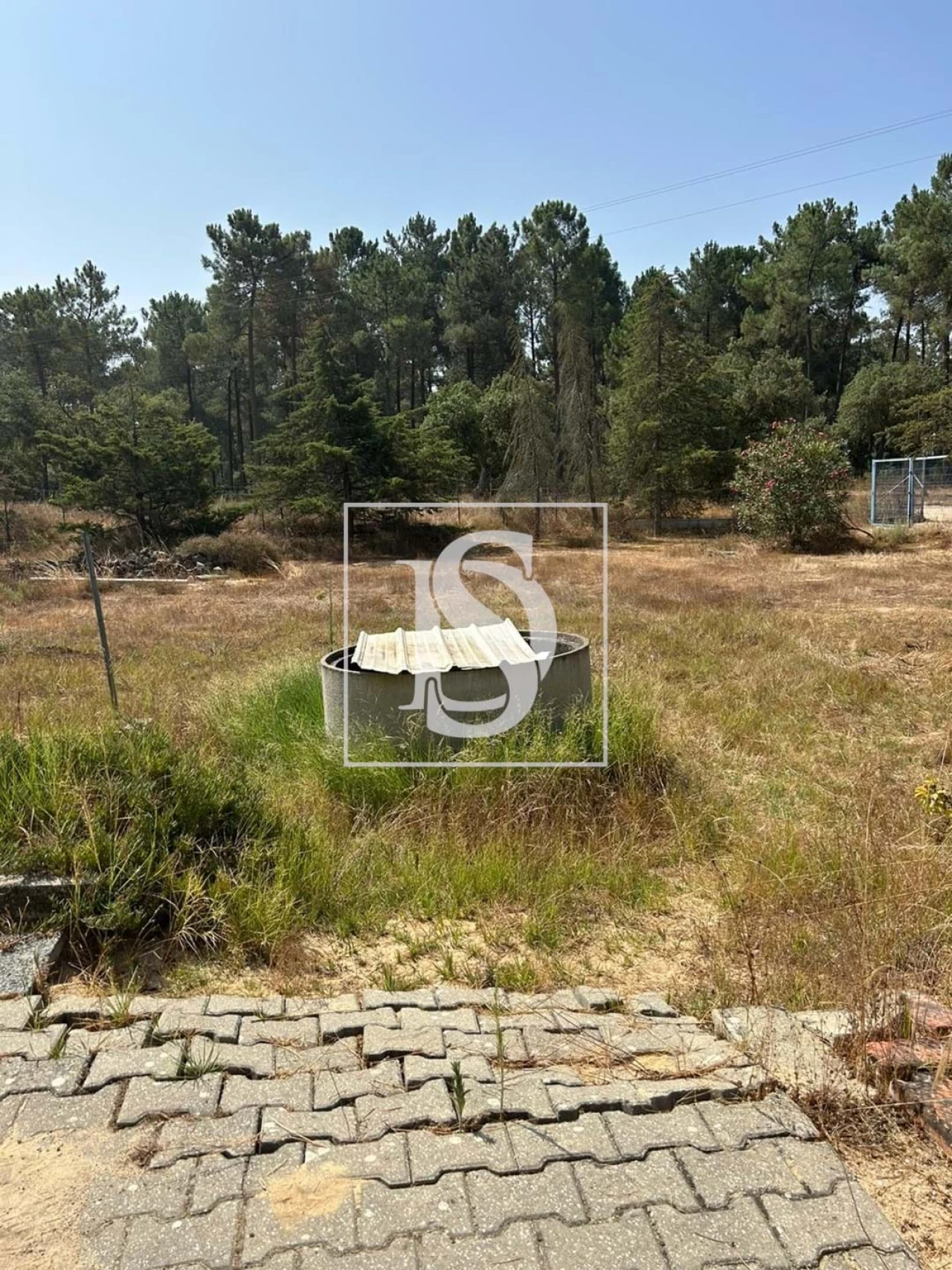 Terreno para Venda em Salvaterra de Magos e Foros de Salvaterra Foto 4