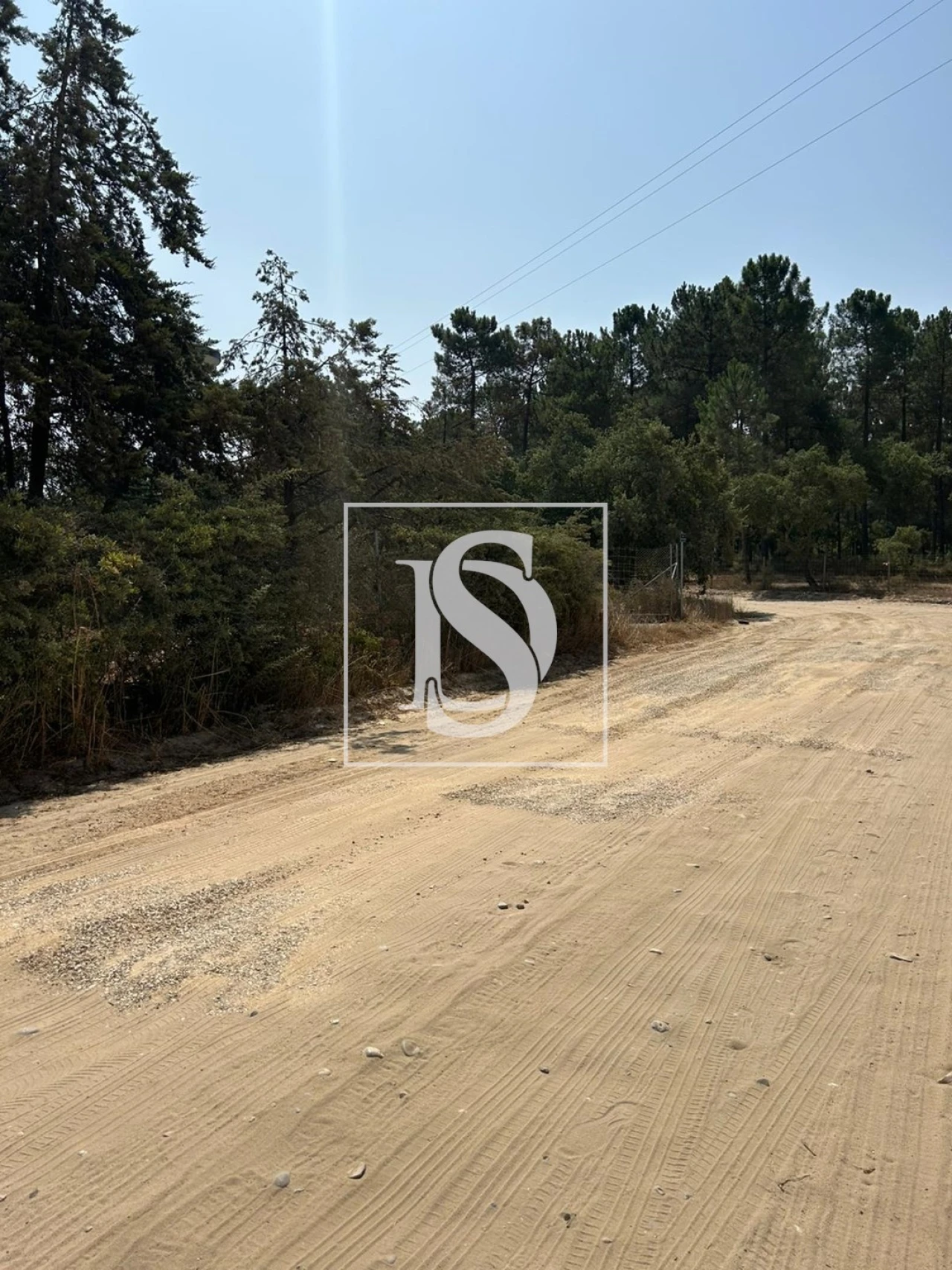 Terreno para Venda em Salvaterra de Magos e Foros de Salvaterra Foto 3