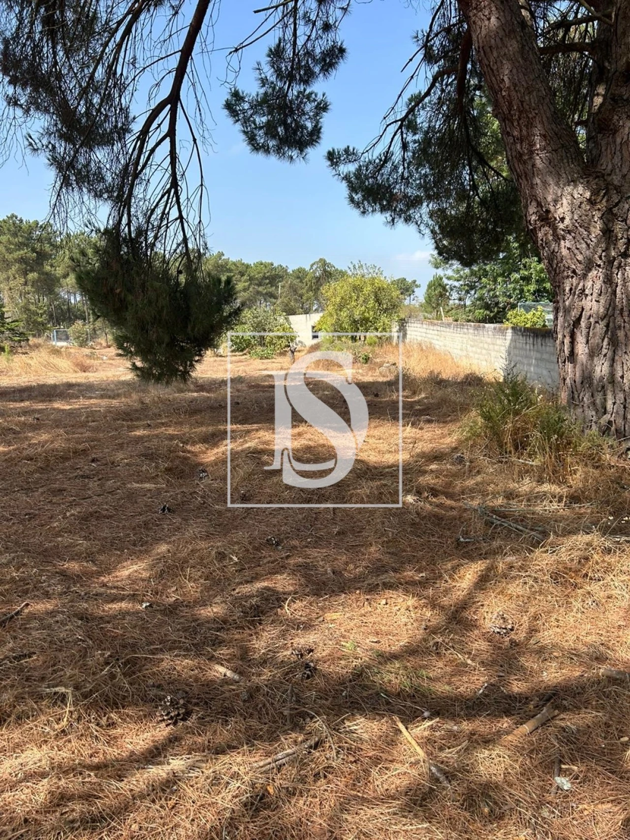 Terreno para Venda em Salvaterra de Magos e Foros de Salvaterra Foto 13