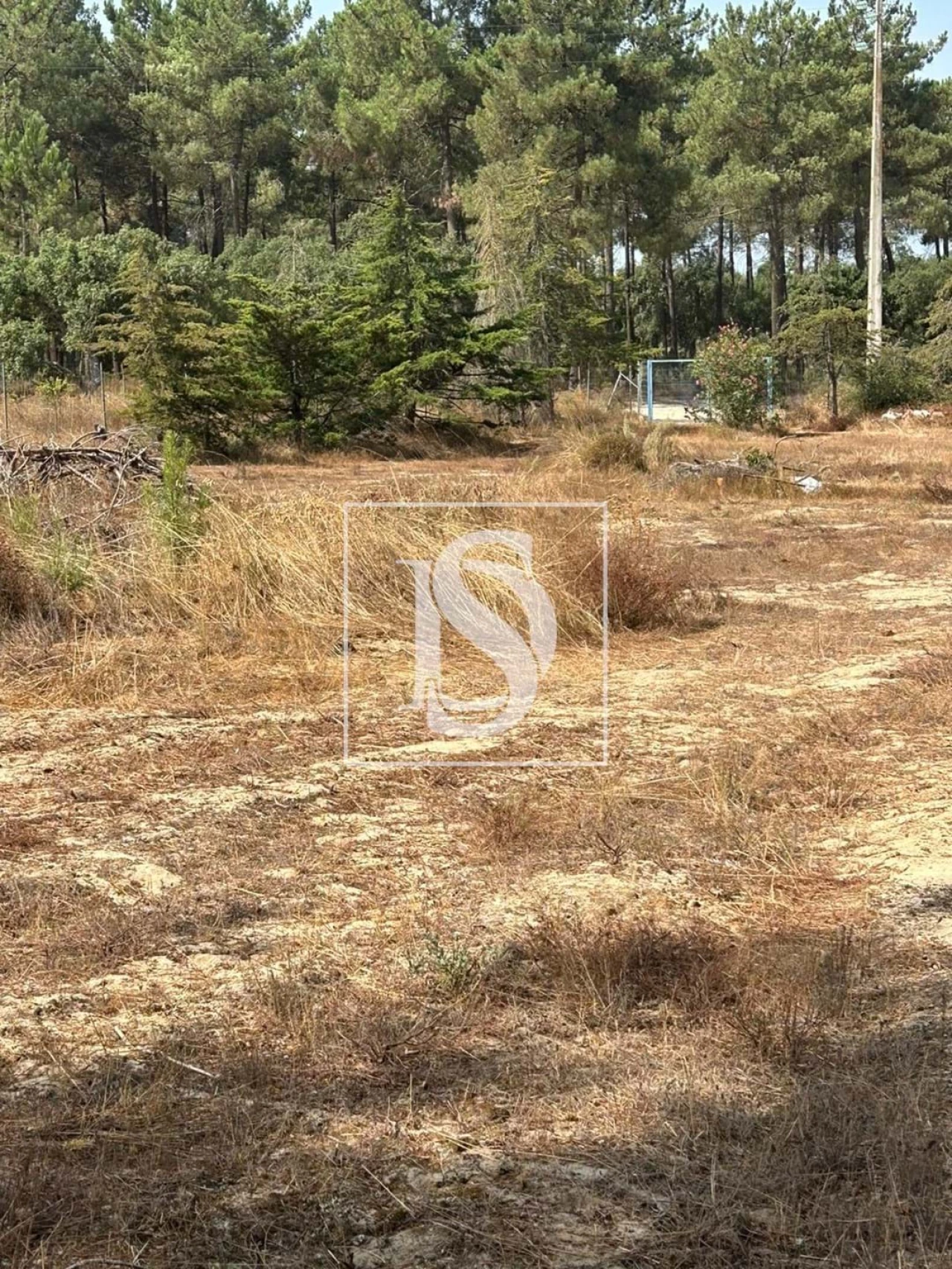 Terreno para Venda em Salvaterra de Magos e Foros de Salvaterra Foto 6
