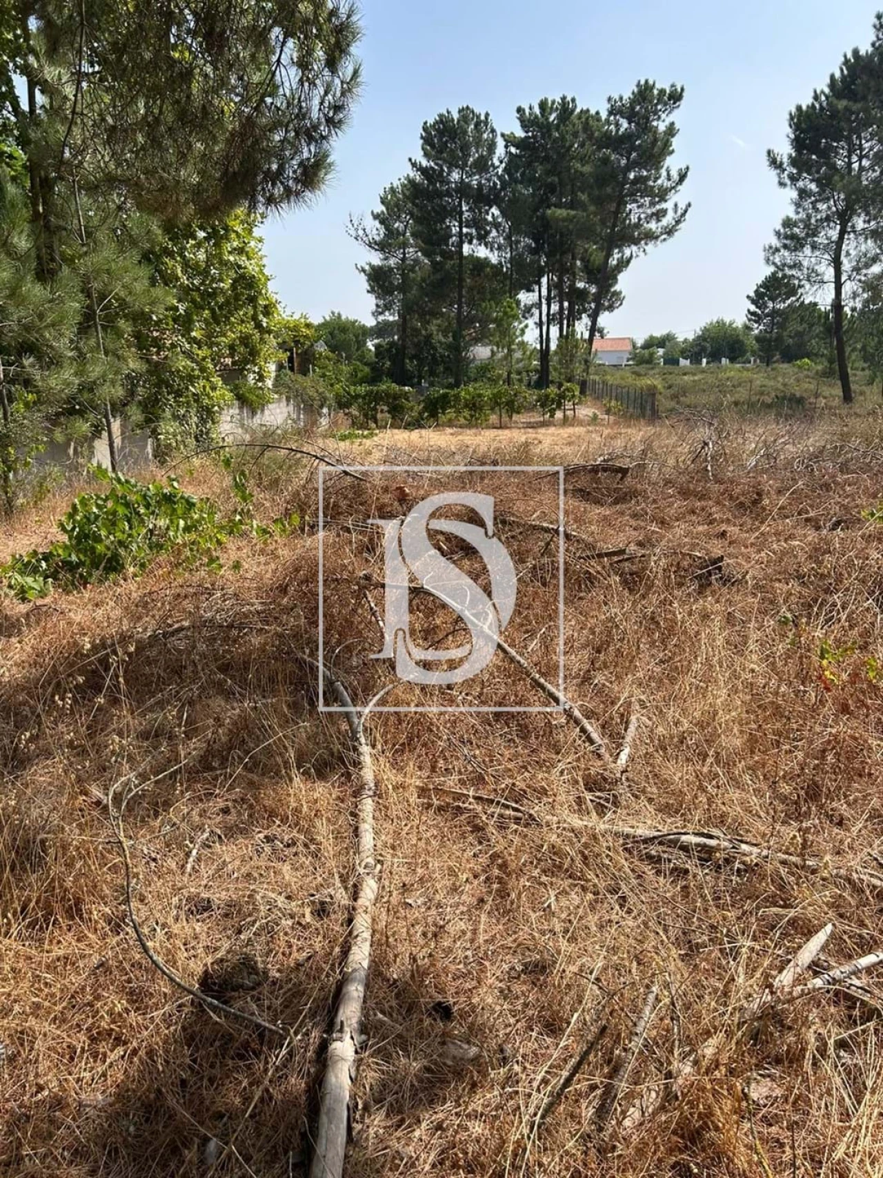 Terreno para Venda em Salvaterra de Magos e Foros de Salvaterra Foto 9