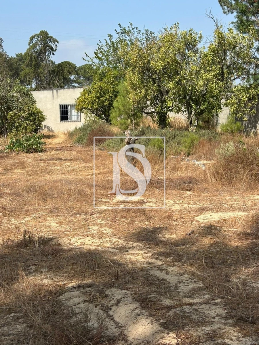 Terreno para Venda em Salvaterra de Magos e Foros de Salvaterra Foto 7