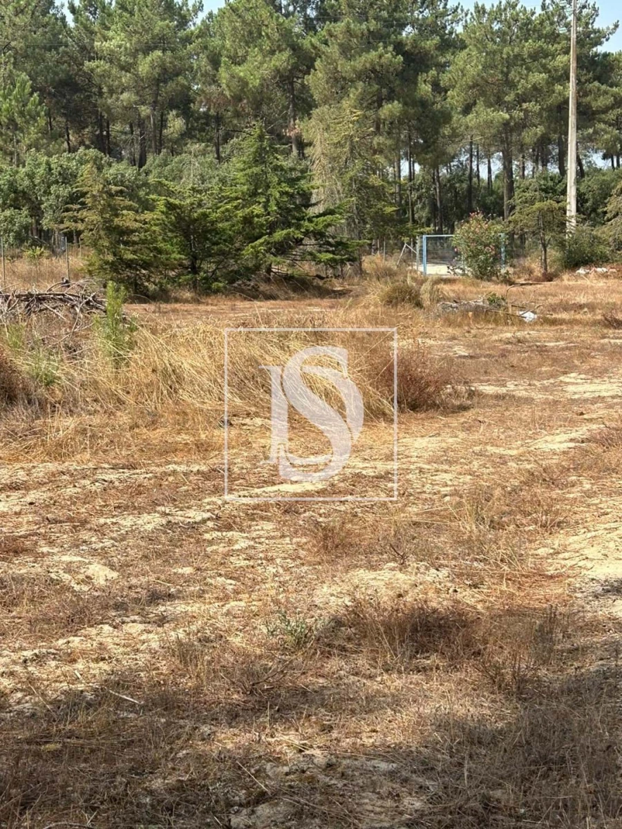 Terreno para Venda em Salvaterra de Magos e Foros de Salvaterra Foto 6