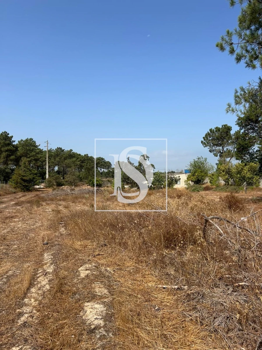 Terreno para Venda em Salvaterra de Magos e Foros de Salvaterra Foto 15