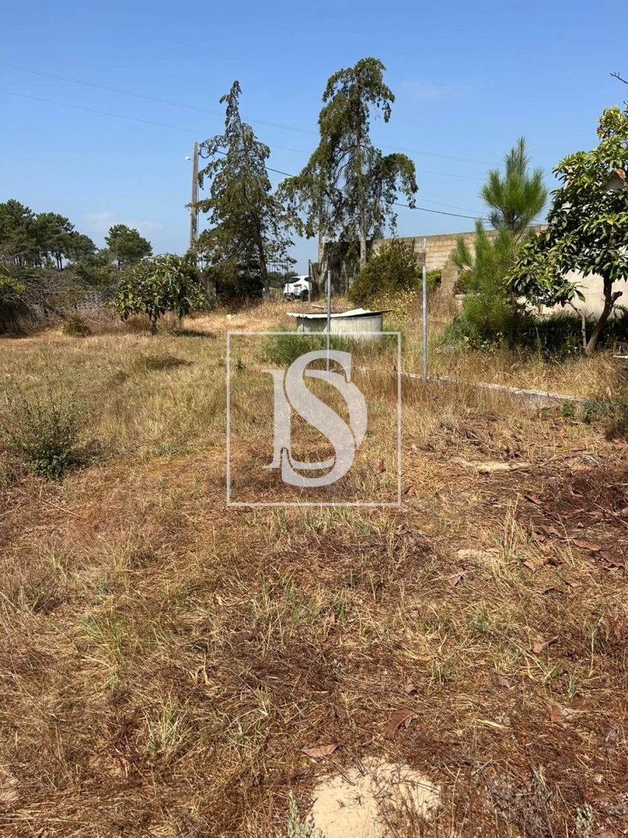 Terreno para Venda em Salvaterra de Magos e Foros de Salvaterra Foto 5