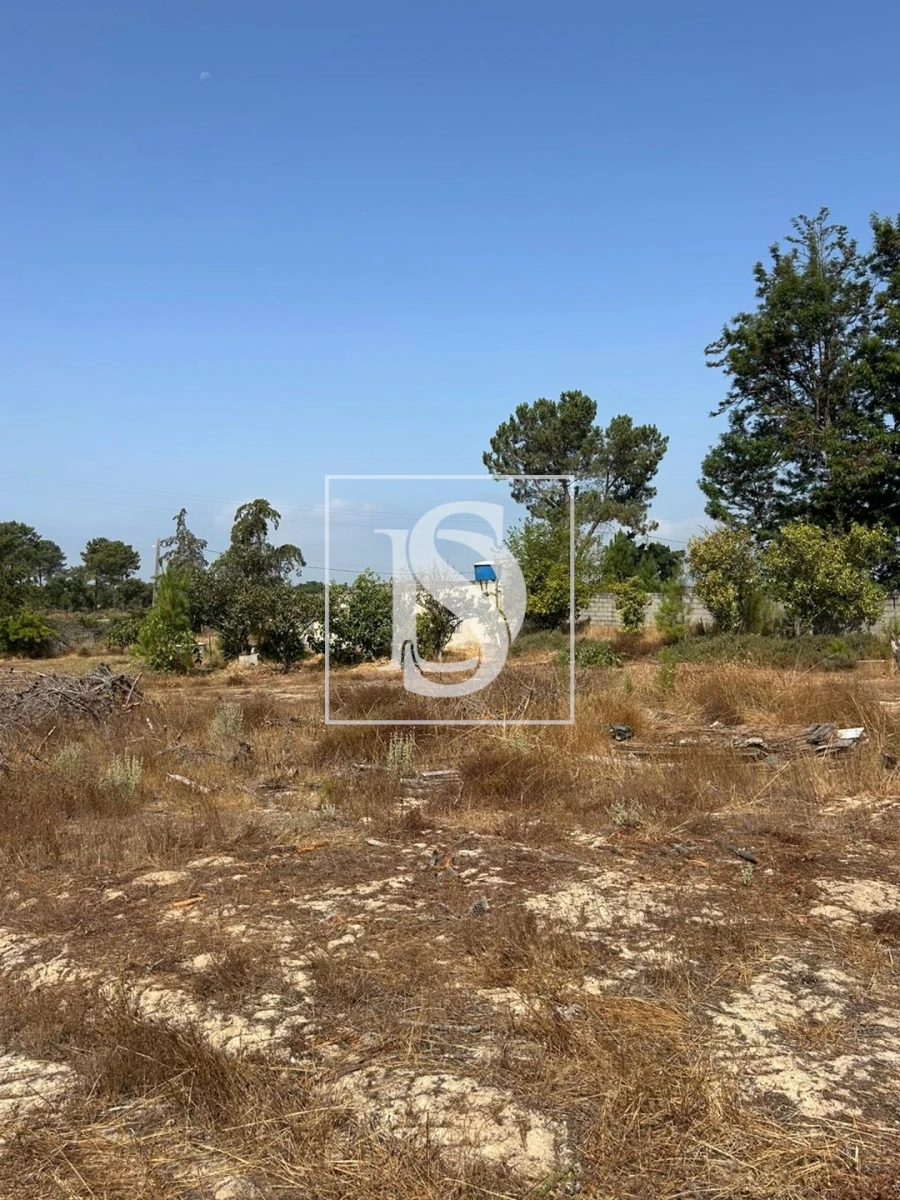 Terreno para Venda em Salvaterra de Magos e Foros de Salvaterra Foto 10