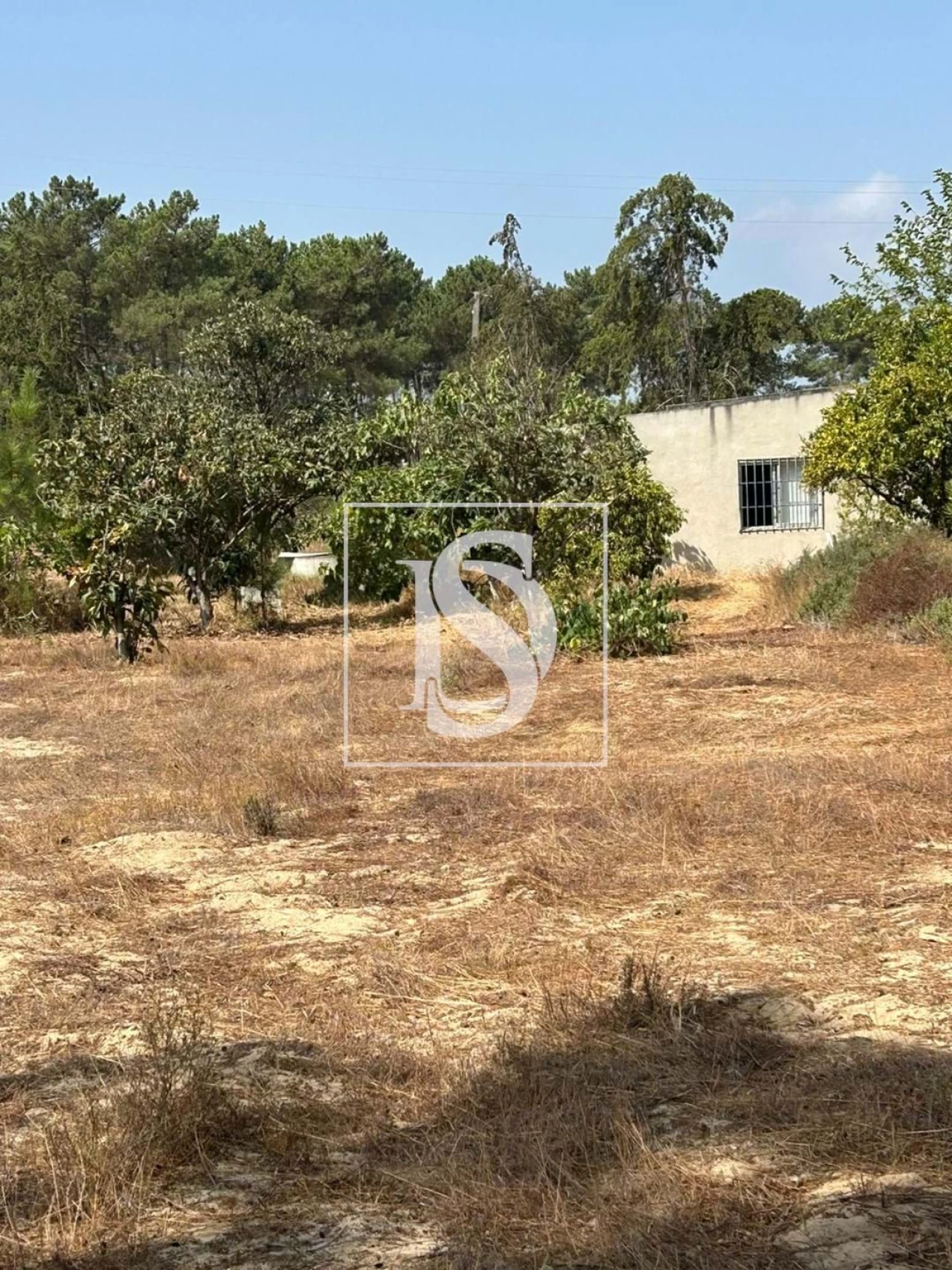 Terreno para Venda em Salvaterra de Magos e Foros de Salvaterra Foto 8