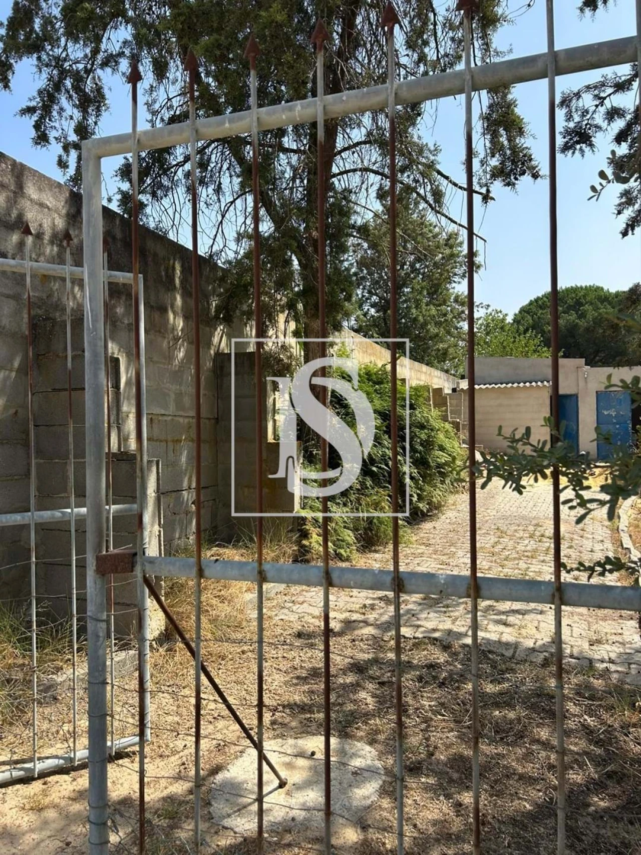 Terreno para Venda em Salvaterra de Magos e Foros de Salvaterra Foto 2