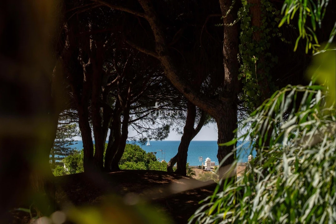 Moradia T4 para Venda em Almancil Planta 31