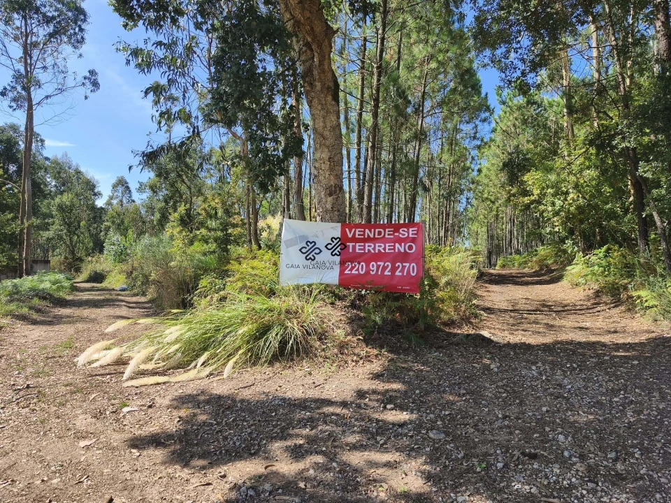 Terreno para Venda em Santa Marinha e São Pedro da Afurada Foto 1