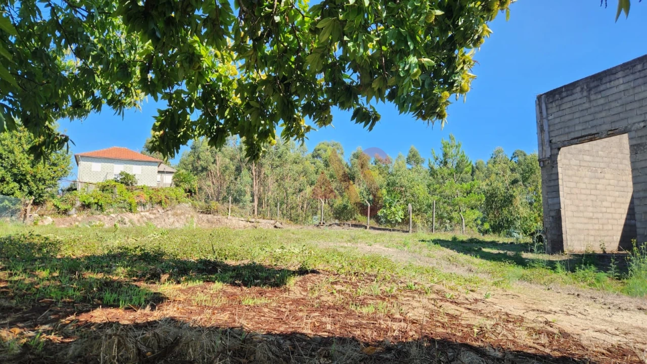 Terreno para Venda em Vilela Foto 4