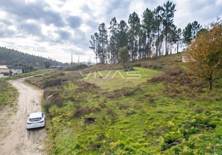 Terreno para Venda em Monsul Foto 3