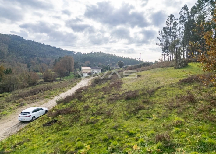 Terreno para Venda em Monsul Foto 4