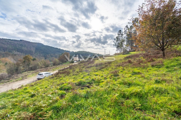 Terreno para Venda em Monsul Foto 16