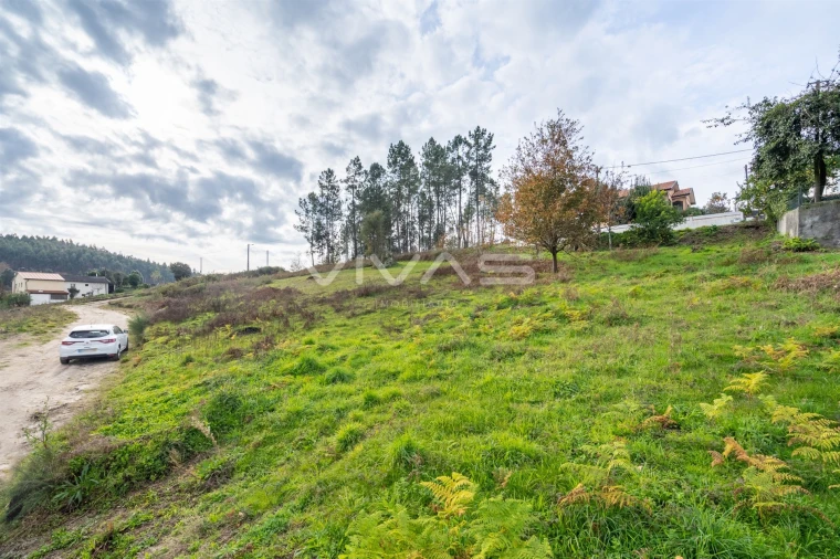 Terreno para Venda em Monsul Foto 15