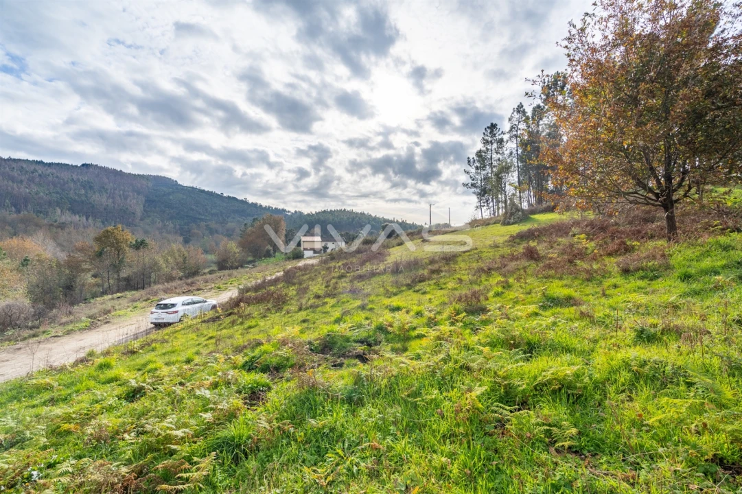 Terreno para Venda em Monsul Foto 16