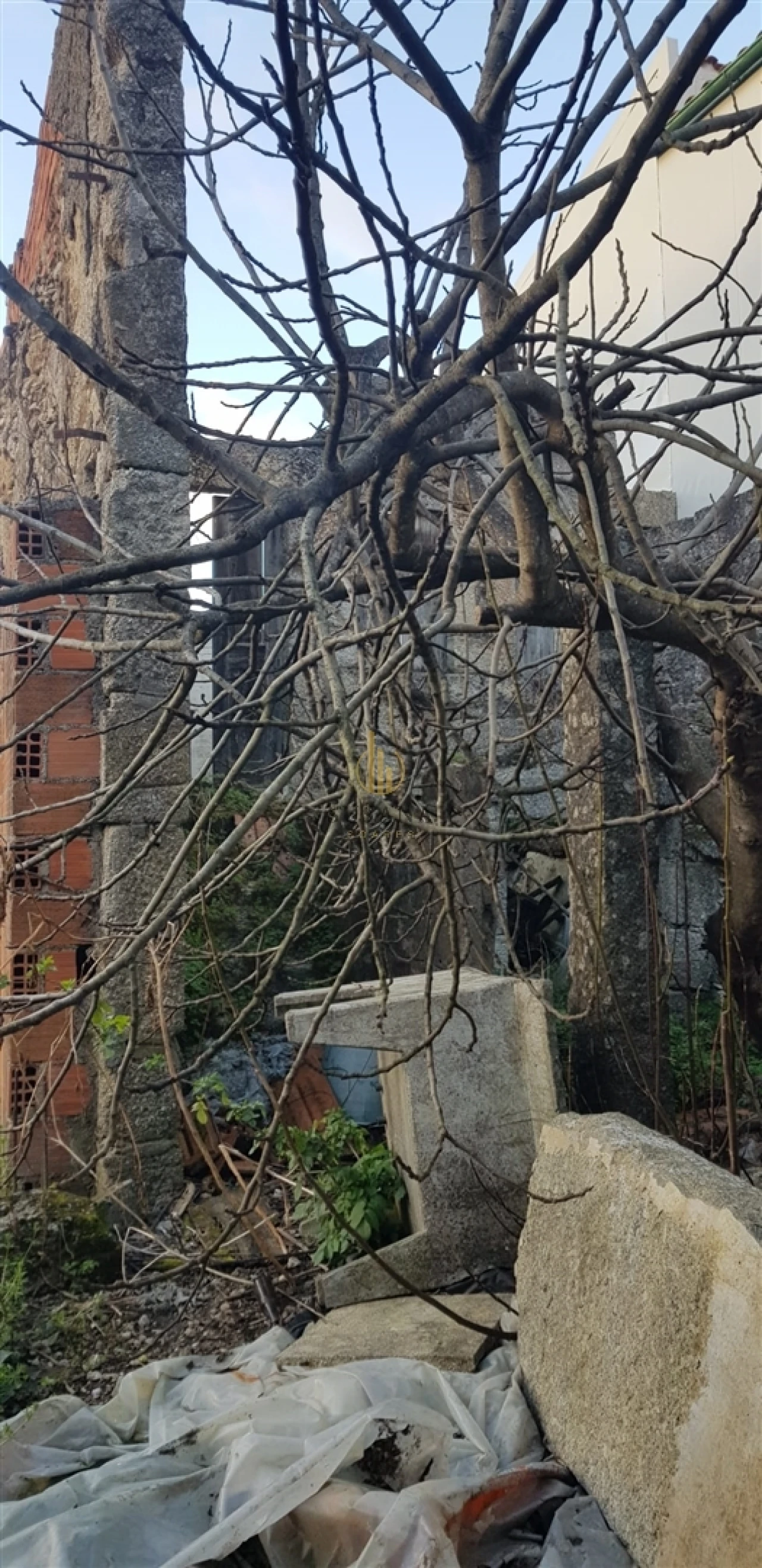 Moradia T0 para Venda em Silgueiros Foto 4