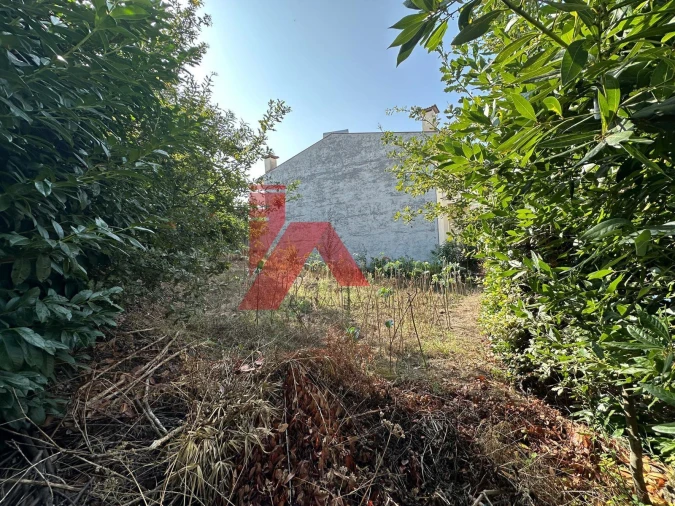 Terreno para Venda em Ponte Foto 4