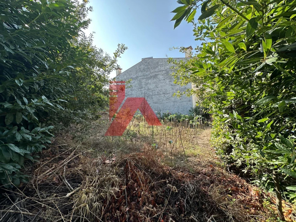 Terreno para Venda em Ponte Foto 4