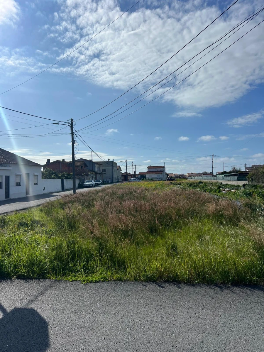 Terreno para Venda em Gafanha da Encarnação Foto 13