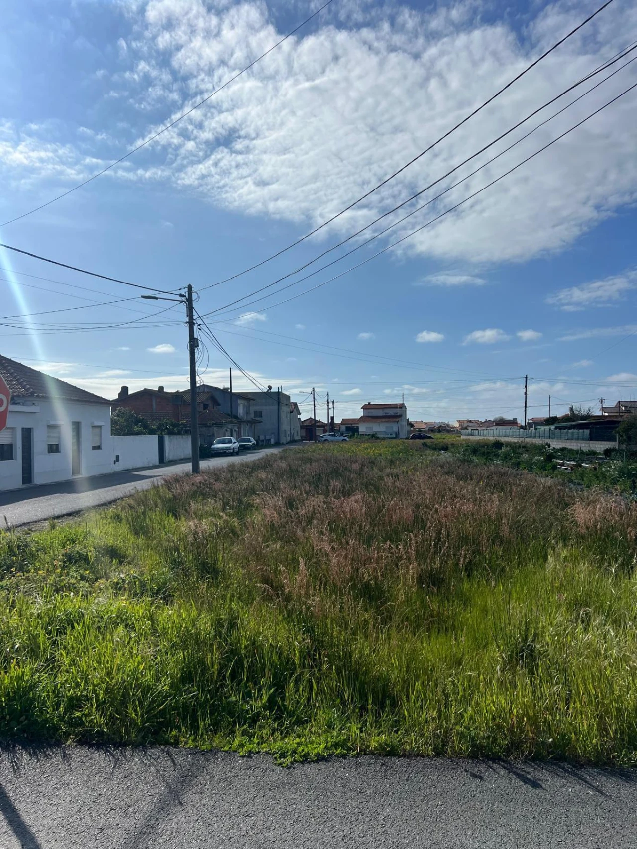 Terreno para Venda em Gafanha da Encarnação Foto 12