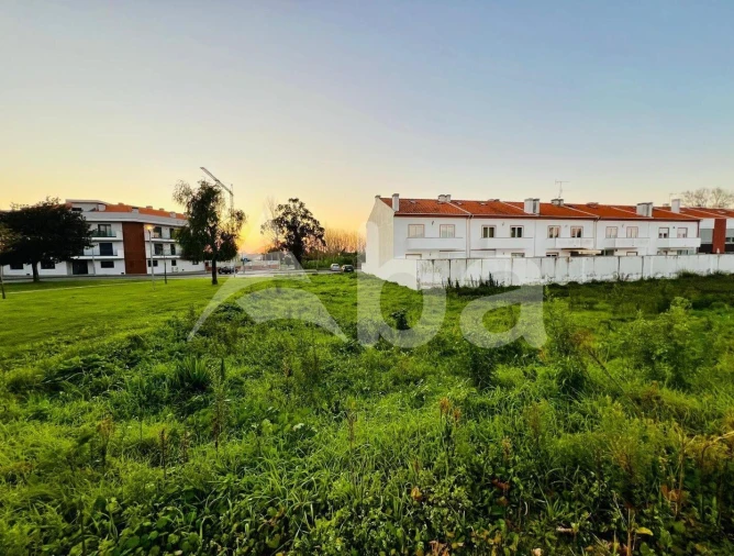 Terreno para Venda em Ílhavo (São Salvador) Foto 11