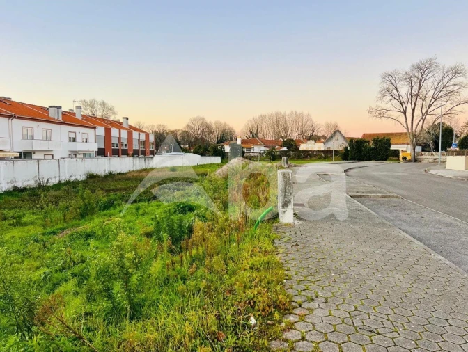 Terreno para Venda em Ílhavo (São Salvador) Foto 7