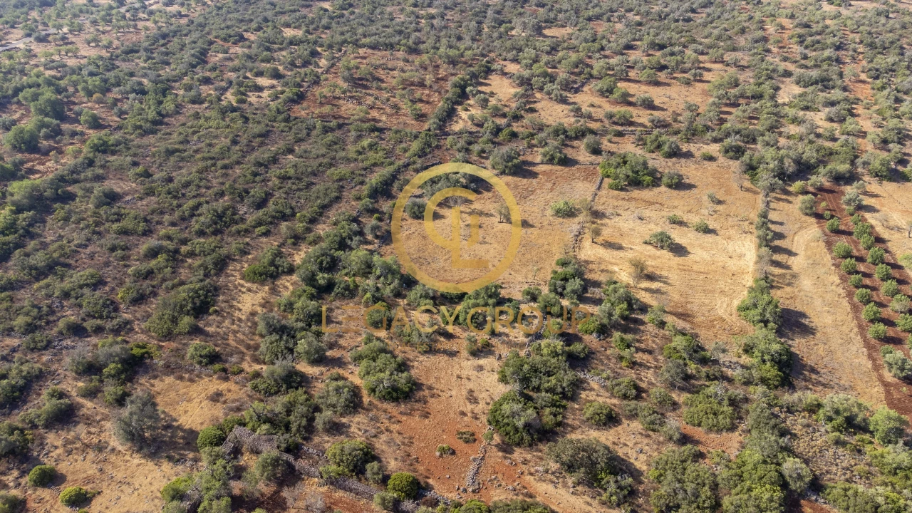 Terreno para Venda em Alte Foto 2