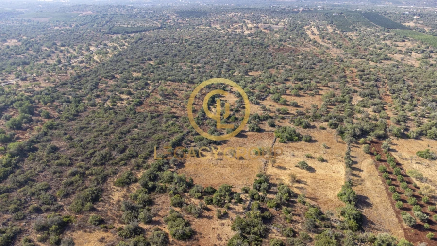 Terreno para Venda em Alte Foto 5