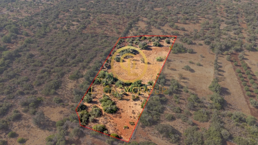 Terreno para Venda em Alte