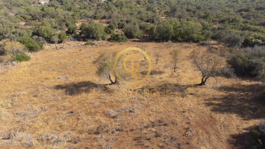 Terreno para Venda em Alte Foto 9
