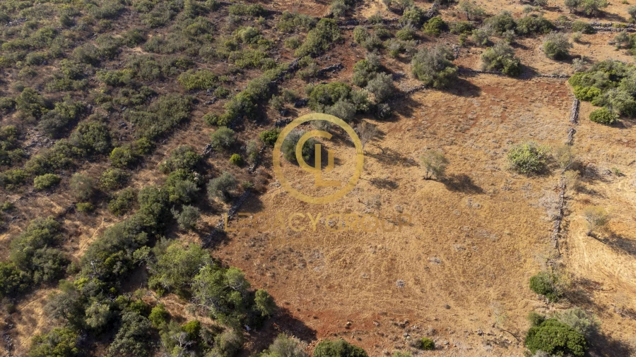 Terreno para Venda em Alte Foto 4