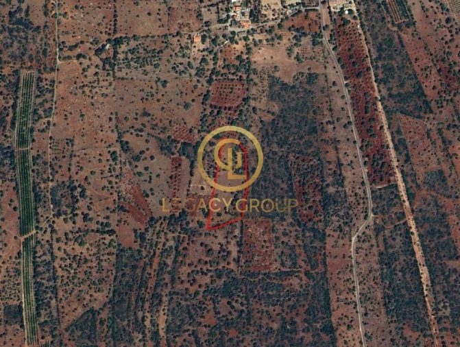 Terreno para Venda em Alte Foto 12