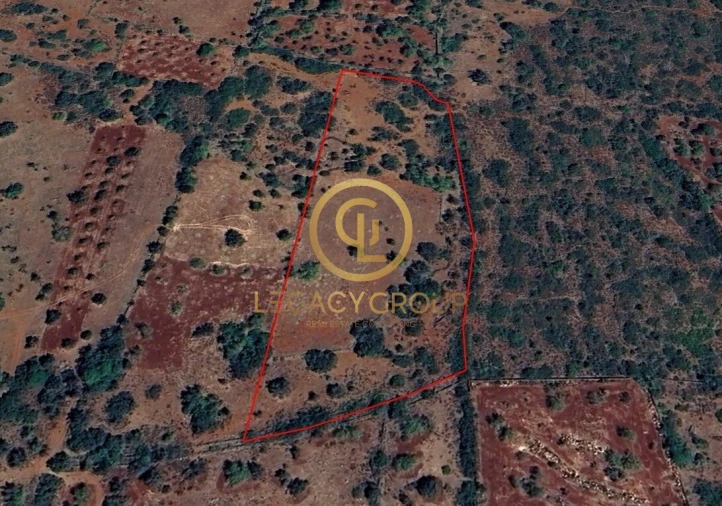 Terreno para Venda em Alte Foto 11