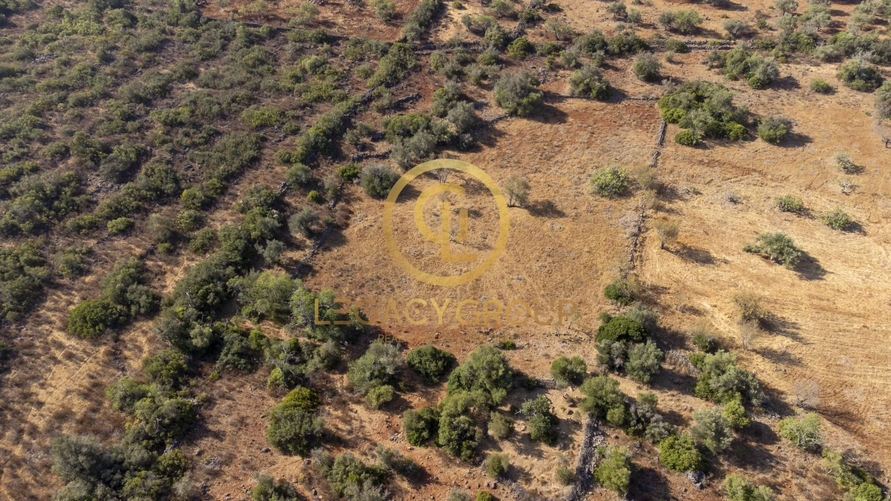 Terreno para Venda em Alte Foto 3