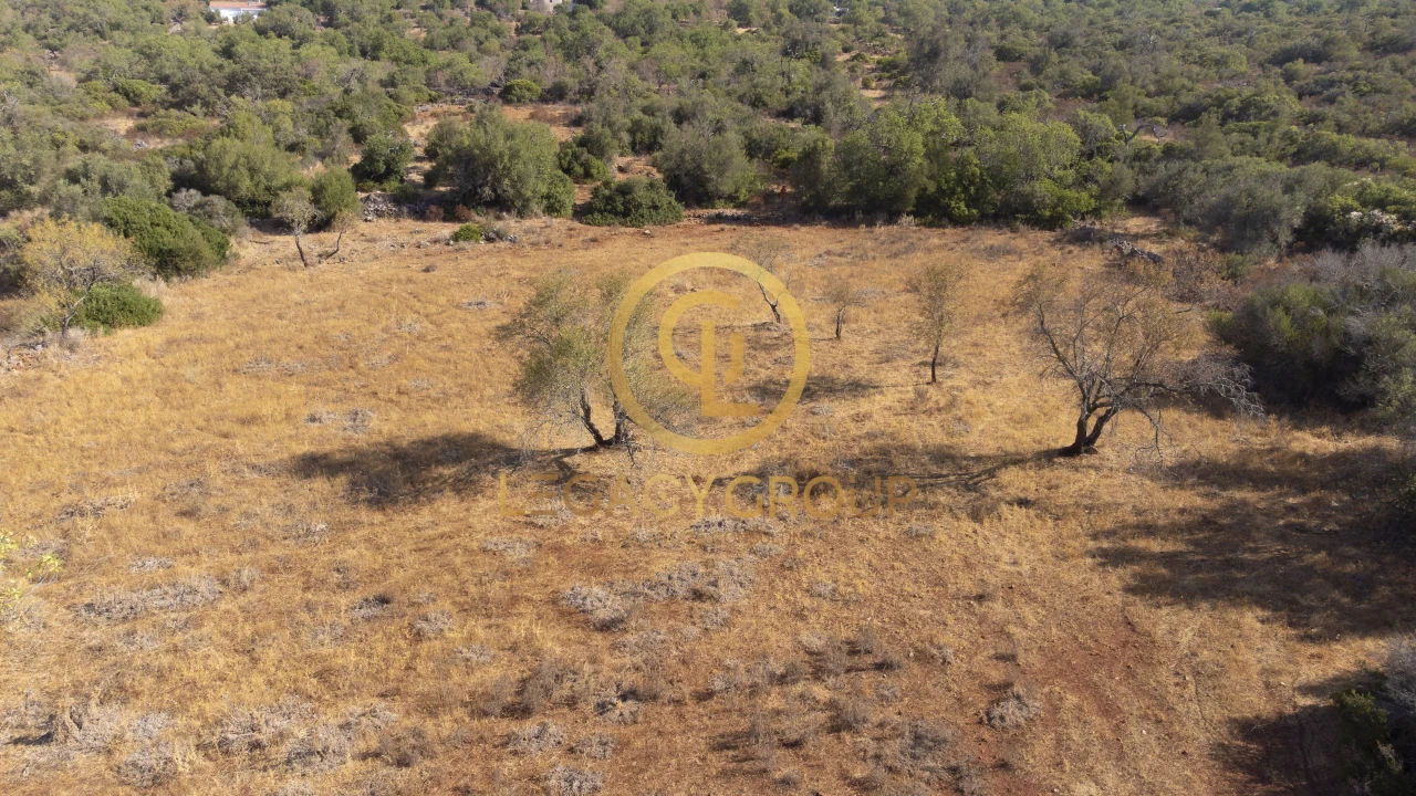 Terreno para Venda em Alte Foto 9
