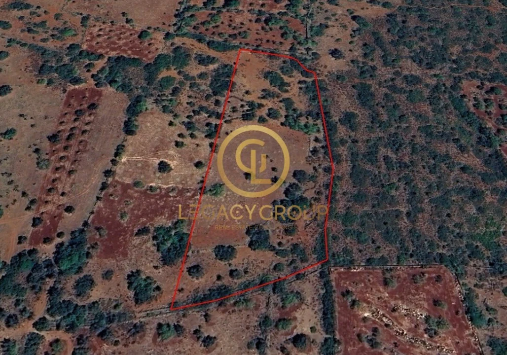 Terreno para Venda em Alte Foto 11