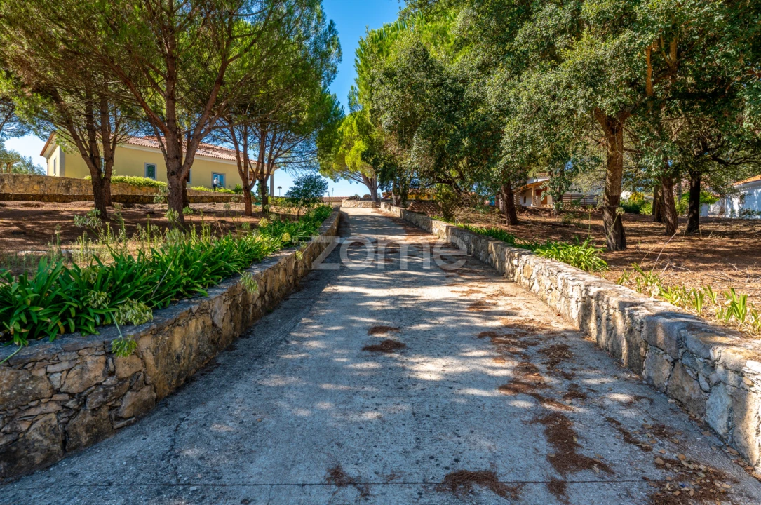 Quinta T6 para Venda em Lousa Foto 5