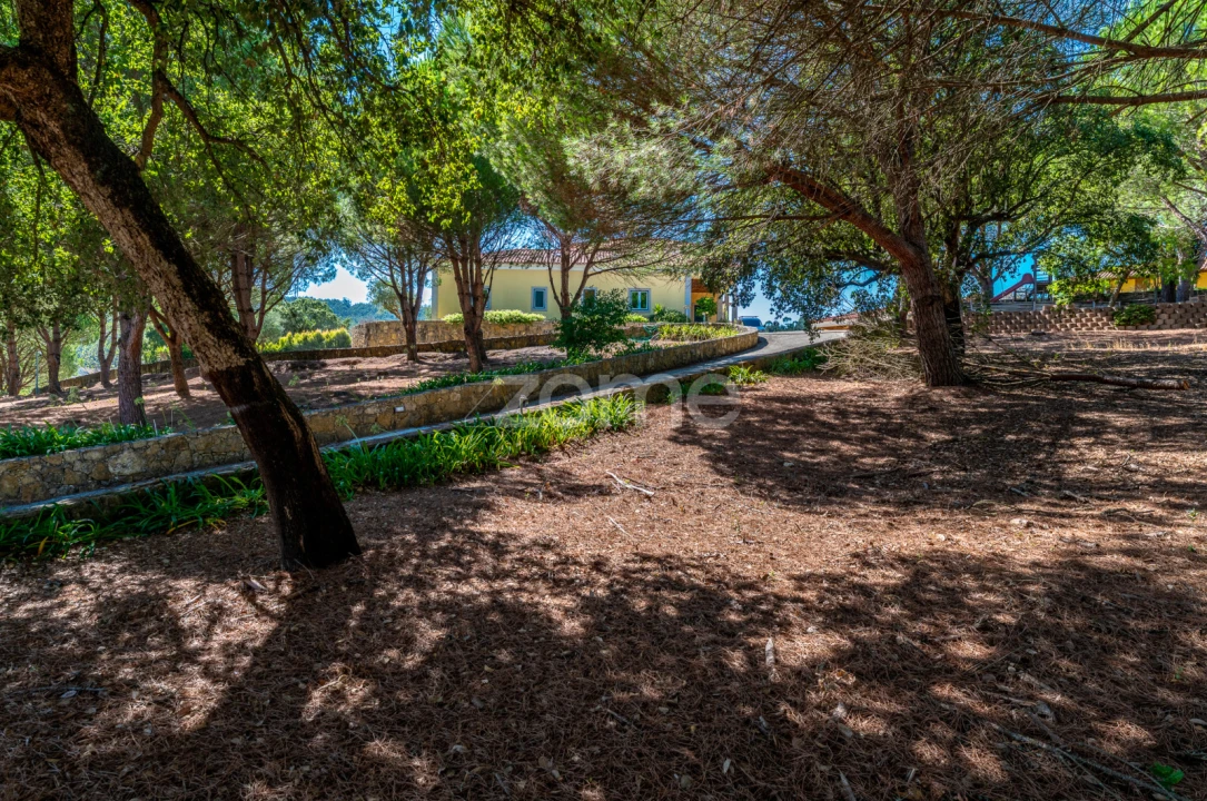 Quinta T6 para Venda em Lousa Foto 75