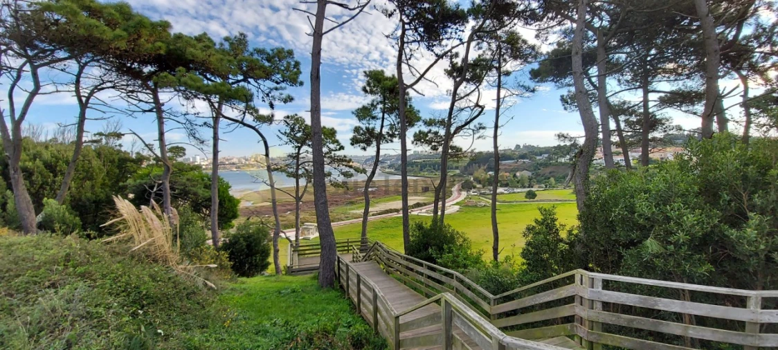 Apartamento T2 para Venda em Canidelo Foto 10