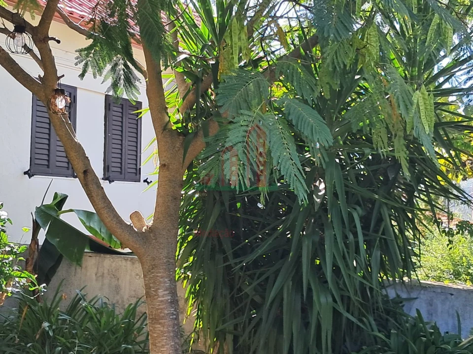 Moradia T3 para Venda em Castanheira de Pêra e Coentral Foto 14