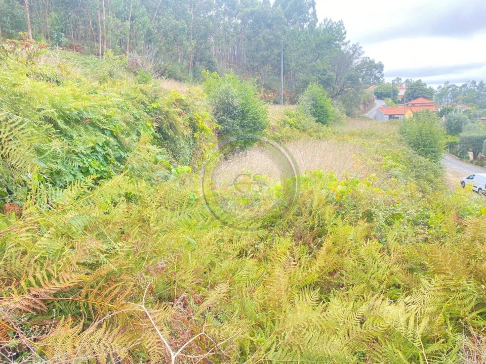 Moradia T3 para Venda em Durrães e Tregosa Foto 39