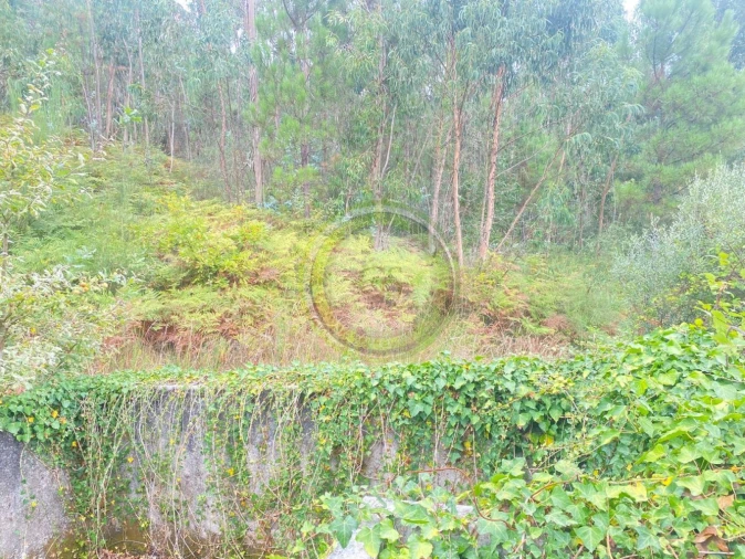 Moradia T3 para Venda em Durrães e Tregosa Foto 36